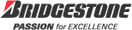 �u���W�X�g��(BRIDGESTONE)�̒��Ã��P�b�g