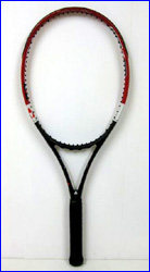 フィッシャー(fischer)PRO1