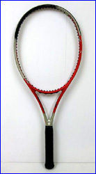 フィッシャー(fischer)PRO1